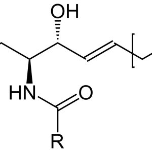 ceramide