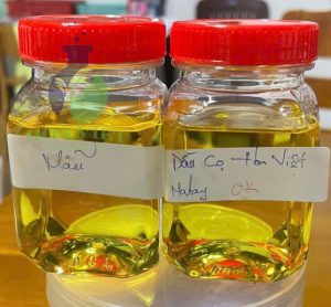 dầu cọ-Hoa Việt