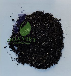 rong biển vảy