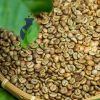 cà phê hạt nguyên chất